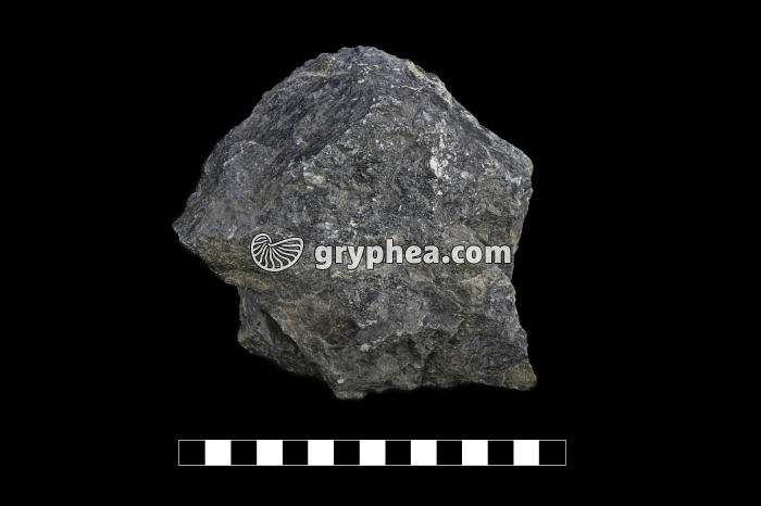 Péridotite - échantillon (Massif du Chenaillet, Alpes) - gryphea.com